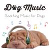Download track Dog Meditation