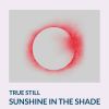 Download track Sunshine In The Shade
