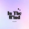 Download track In The Wind