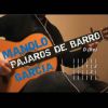 Download track Pajaros De Barro
