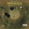 Download track Molecule (Original MIx)