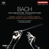 Download track 06. Suite No. 6 For Full Orchestra II. Lament (BWV 992)