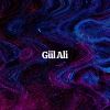 Download track Gül Ali