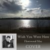 Download track Wish You Were Here By Fleetwood Mac Cover