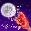 Download track Pelle D'oca
