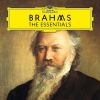 Download track Brahms: Ein Deutsches Requiem, Op. 45-4. Chor: 