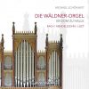 Download track Sonate In C Minor, Op. 65 No. 2, MWV W57: II. Allegro Maestoso E Vivace