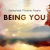 Download track Being You (Phoenix Pearle Live Session (Radio Edit))