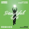 Download track Beautiful Life (Radio Edit)