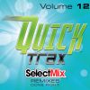 Download track Downtown's Dead (Select Mix Quick Trax)