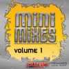 Download track 80s Divas Mini Mix (Select Mix Mini Mix)