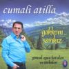 Download track Karmı Yağmış Şu Harputun Başına