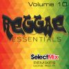 Download track Redemption Song (Band Version) [Select Mix Remix]