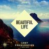 Download track Beautiful Life (Extended Mix)