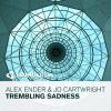 Download track Trembling Sadness (Original Mix)