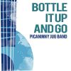 Download track Bottle It Up And Go