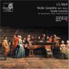 Download track Concerto Pour Clavecin, Deux Flûtes Á Bec, Cordes Et Basse Continue BWV 1057 - II Andante
