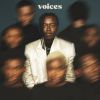 Download track Voices