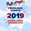Download track Ballermann - Mein Herz Schlägt Für Den Ballermann