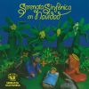 Download track Aguinaldo Carupanero (Orquesta Sinfónica Venezuela)