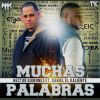 Download track Muchas Palabras