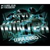 Download track Style Sesion Winter 2013 Dj Rajobos 17