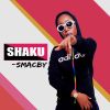 Download track Shaku (Instrumental)