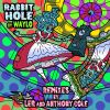 Download track Rabbit Hole (Anthony Cole Remix)