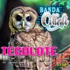 Download track Nochecitas Mexicanas