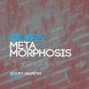 Download track Metamorphosis IV. -