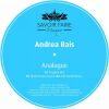 Download track Analogue (Hall North Remix)