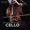 Download track Cello Sonata In D Minor, L. 135: II. Sérénade. Modérément Animé