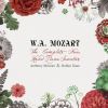 Download track Sonata In F Major, K. 497: I. Adagio - Allegro Di Molto