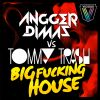 Download track Big Fucking House (Original Mix)