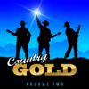 Download track Country Kings