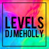 Download track Levels (Remix)