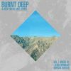 Download track Burnt Deep, Vol. 1 (Continous DJ Mix) (Mixed By Leigh Morgan