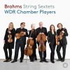 Download track String Sextet No. 1 In B-Flat Major, Op. 18: I. Allegro Ma Non Troppo