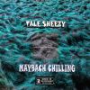Download track Maybach Chilling (Instrumental Mix)