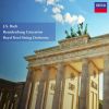 Download track Brandenburg Concerto No. 5 In D Major, BWV 1050: 2. Affetuoso