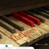 Download track Fakart Insit - Marwan Khoury