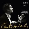 Download track Dvorak, Cello Concerto In B Minor, Op. 104 - III. Finale. Allegro Moderato