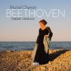 Download track Beethoven, Diabelli Variations- Var. 11 Allegretto