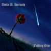 Download track Falling Star