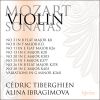 Download track Violin Sonata In C Major, K303 - 1: Adagio – Molto Allegro