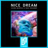 Download track Nice Dream