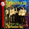Download track Hot Summer Day