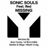 Download track Missing (Rare Candy Radio Edit)