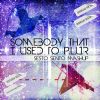 Download track Somebody I Used To P. L. U. R (Sesto Sento Mashup)
