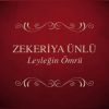 Download track Nemrudun Kizi